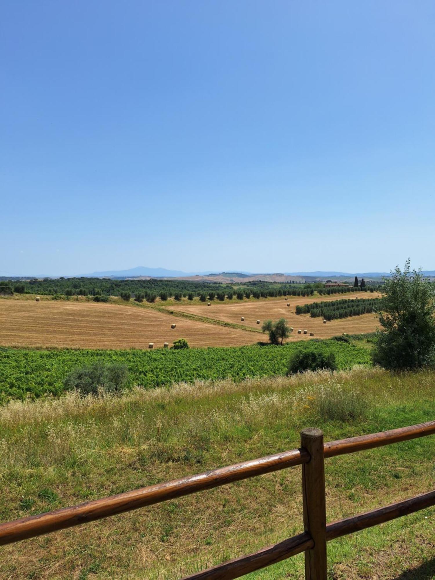 카스텔누오보베라덴가 Casa Paola Nel Chianti B&B 외부 사진