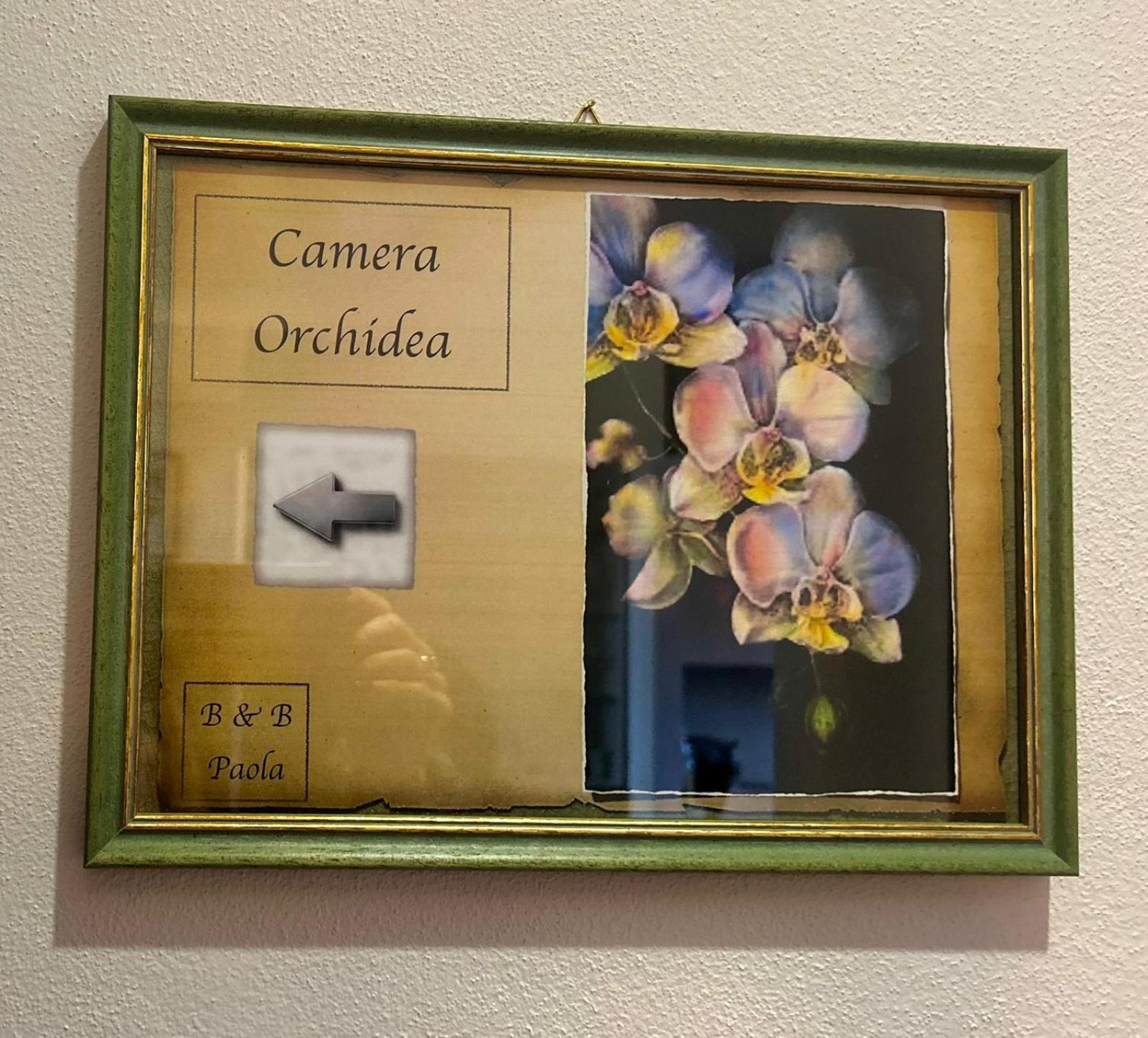 카스텔누오보베라덴가 Casa Paola Nel Chianti B&B 객실 사진
